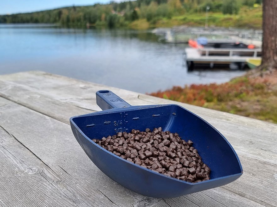 En blå skopa med fiskfoder som står på en brygga. Foto.