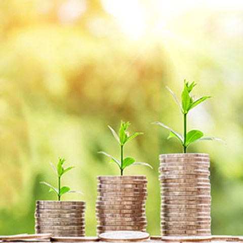 Coins stacked on top of each other with green plant on top - so a seed symbolism. Photo.