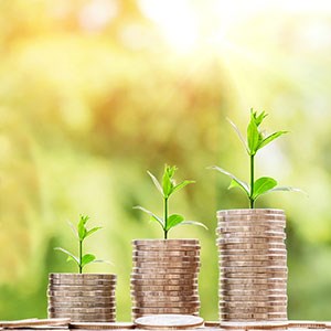 Coins stacked on top of each other with green plant on top - so a seed symbolism. Photo.