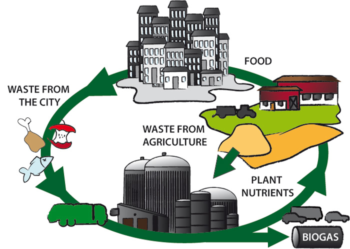 A picture of the biogas cycle, illustration.