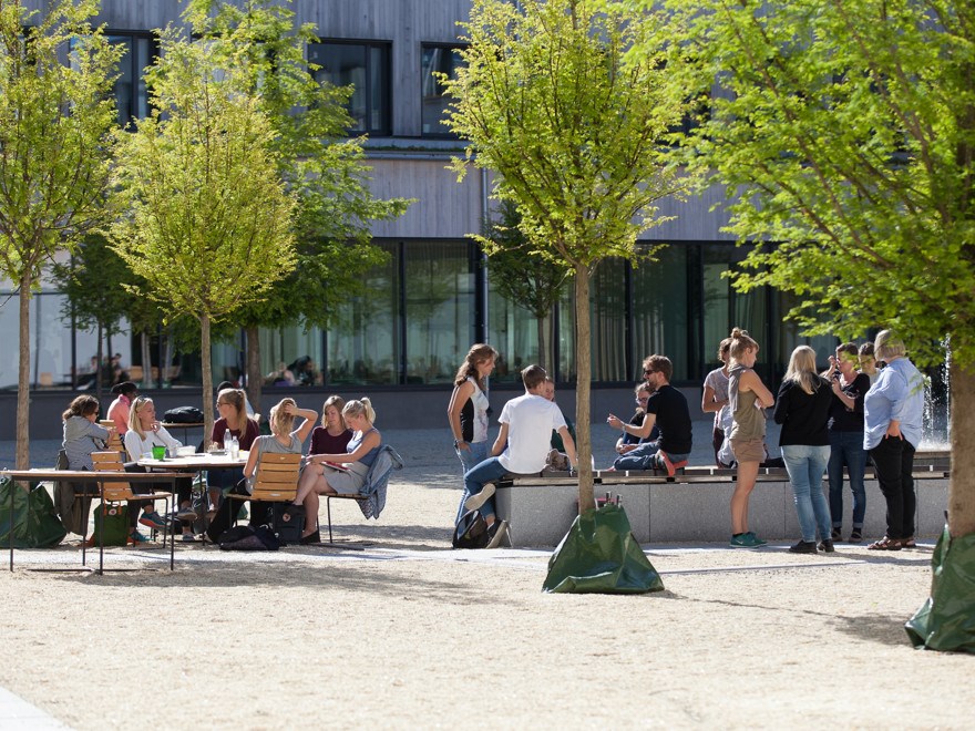 Studenter på Ulls hus innergård vid SLU i Uppsala.