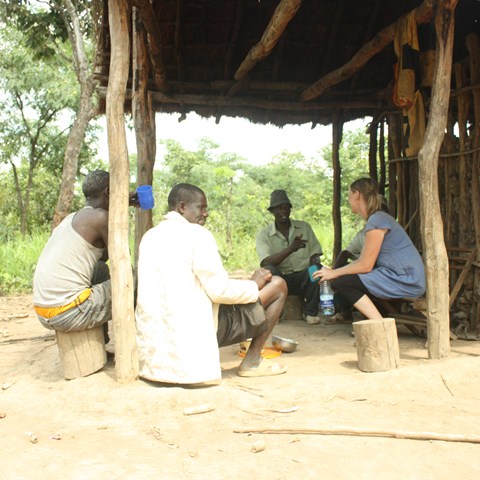 project implementors Africa