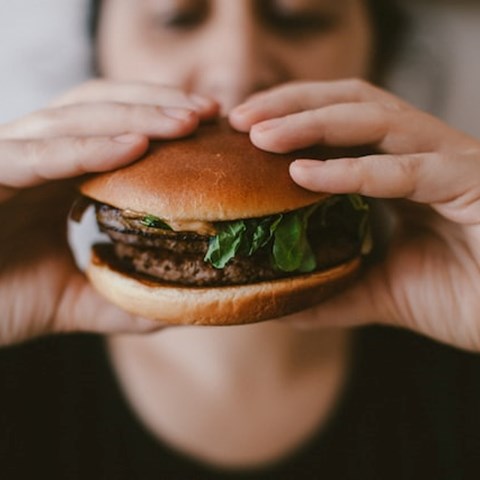 Hamburger