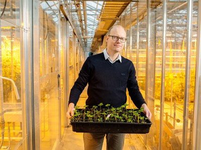 A man holding a tray of plants in a greenhouse, photo.