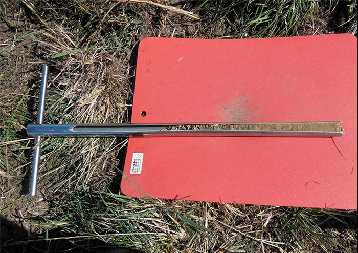 A soil core on red background, photo.