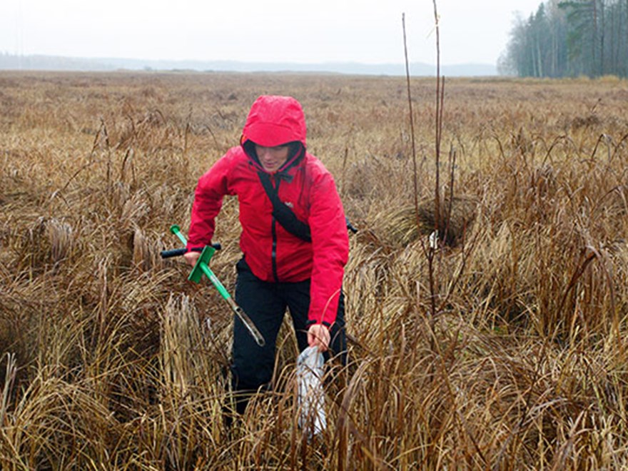 A person in a red jacket takes samples in a field under a grey sky, photo.