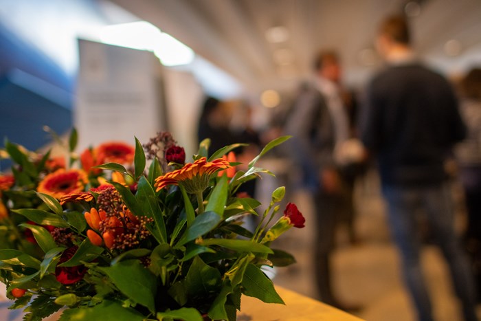 Röda blommor med en folksamling i bakgrunden. Foto.