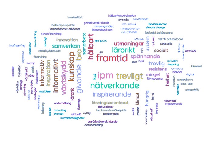 Ett ordmoln med orden framtid, ipm, trevligt, nätverkande, växtskydd, kunskap, givande, bra, hållbart synligast. Foto.