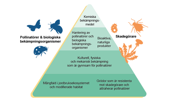 En triangel med växtskyddsstrategier, illustration.