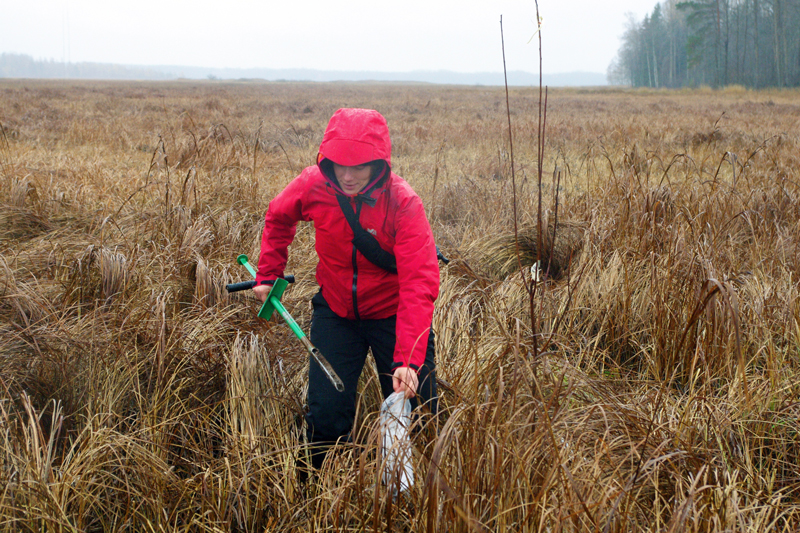 A person in a red jacket taking samples in a field under a grey sky, photo.