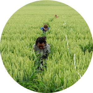 Three people crouching in a field. Photo.