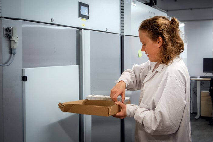 A woman with light curly hair stands in front of large white cabinets with a tray with test tubes on. Photo. 