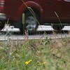 Vägkant, vid asfalterad väg, en bil som för förbi. 