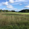 En golfruff. Foto. 