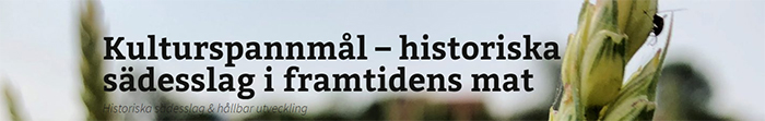 kulturspannmål_blogghuvud_w700.jpg