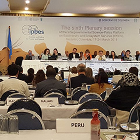 Konferensrum med människor framför ett podium, loggor med IPBES på väggen bakom. Foto.