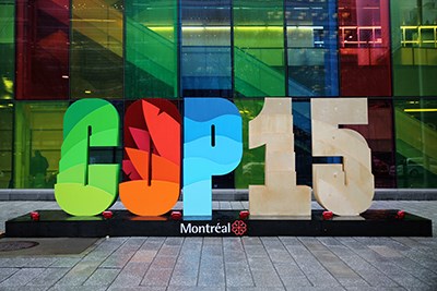 EN staty med stora bokstäver och siffror som fomar ordet COP15 i olika färger. Foto. 