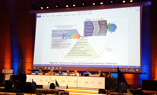 IPBES7, 2019. Foto: Torbjörn Ebenhard