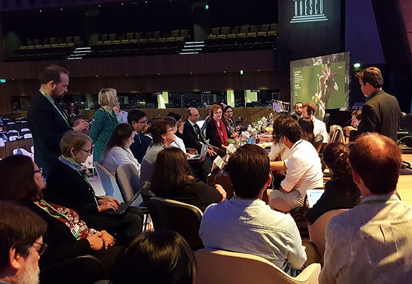 Grupp som diskuterar på IPBES plenarmöte i Paris våren 2019. Foto.