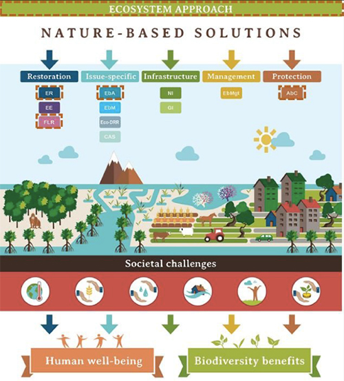 Nature Based Solutions Illustration