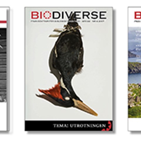 tre nummer av Biodiverse från olika tider