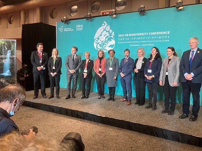 En rad personer står på ett podium för att bli fotograferade. Foto. 