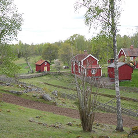 Röda hus omgivna av kuperad betesmark, åkermark och gärdesgårdar. Foto.