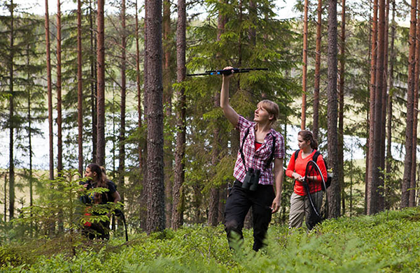 forskare i en skog. Foto. 