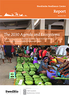 The 2030 Agenda and Ecosystems