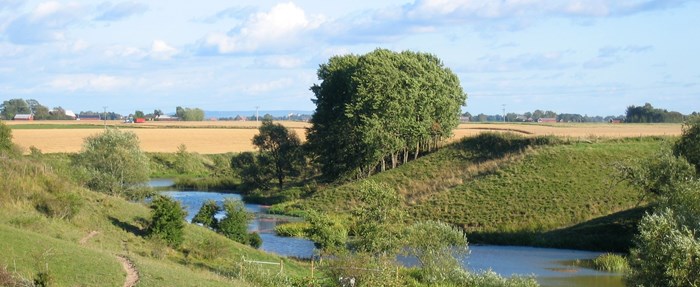 Stream in an agricultural landscape, photo.