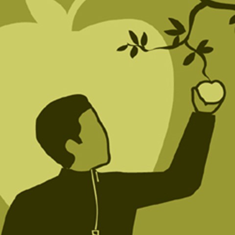 A person picking an apple, illustration.