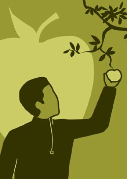 A person picking an apple, illustration.