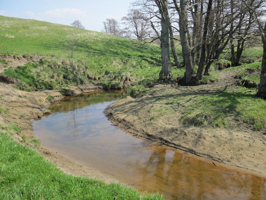 Stream and trees, photo. 