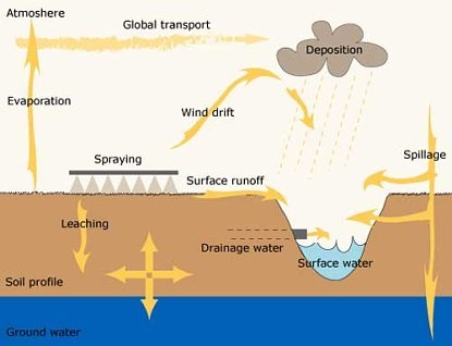 Schematic figure showing how pesticides are transposed in soil and water, illustration.