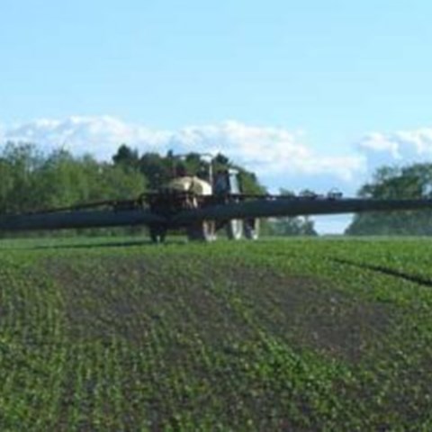 A field is sprayed with pesticides, photo.