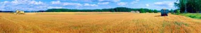 Agricultural field, photo.