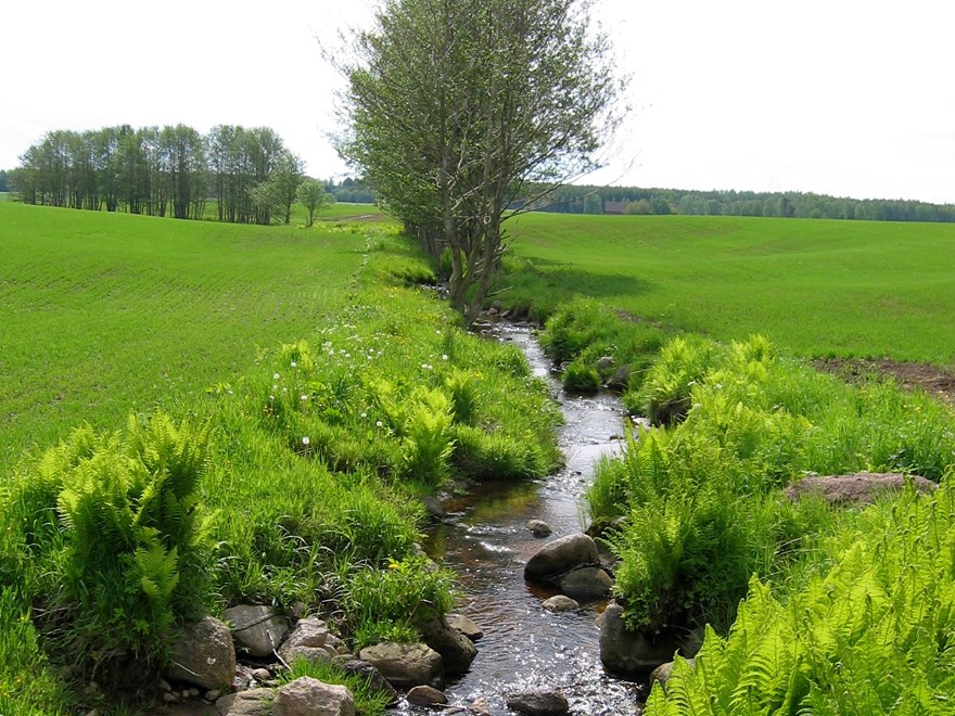 Vattendrag omgivet av åkrar, foto.