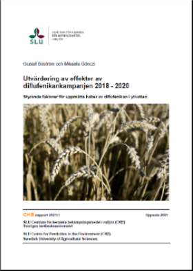 Hemsida CKB rapport 2021_1