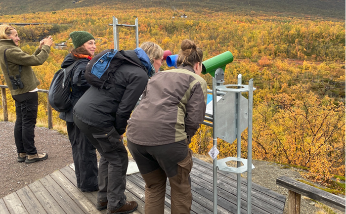 Få hjälp att hitta fokus med rör i Abisko
