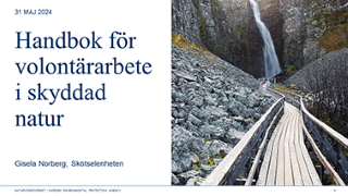 Giselas ppt volontärhandbok - 2024.png
