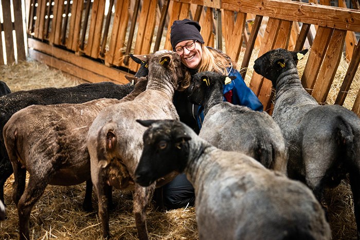 En person sitter leende bland en flock med får
