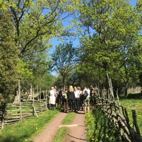 Grupp i landskap. Seminarium om naturvägledning och hälsa Urnatur, Östergötland,