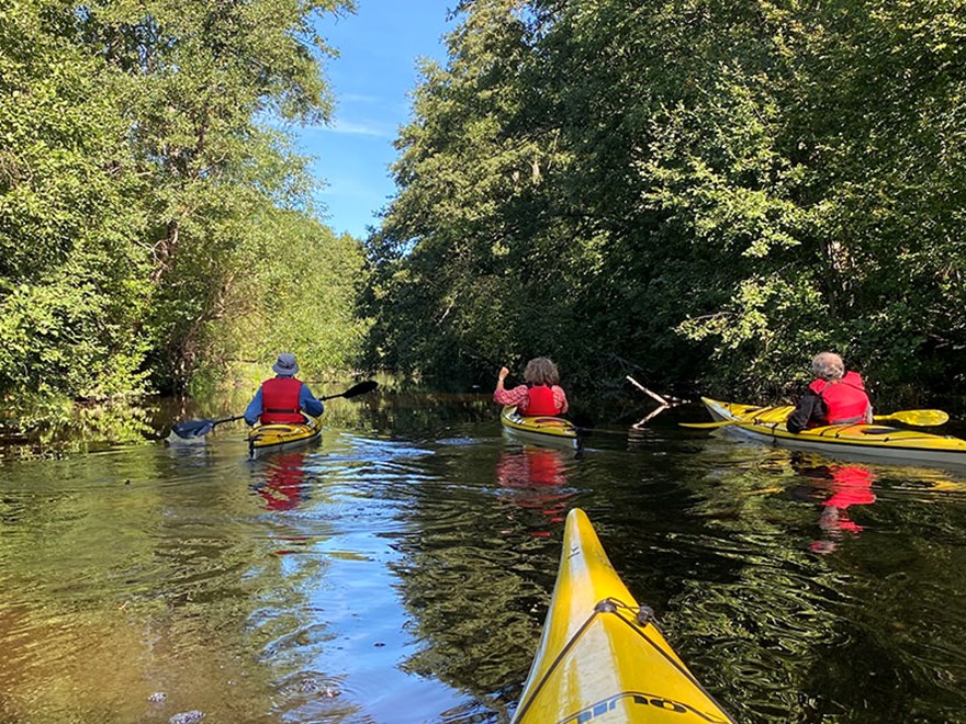 Kayaking in Tämnarån