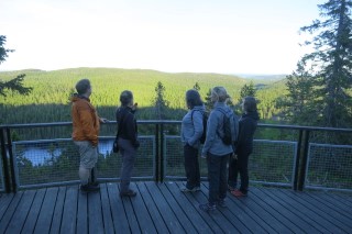 Visiting Skuleskogen national park