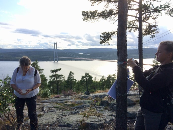 Förberedelse inför test av naturvägledning på Höga kusten