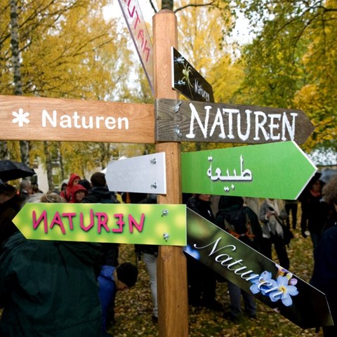 En stolpe med flera skyltar med texten ”Naturen” som pekar åt olika håll. Foto.