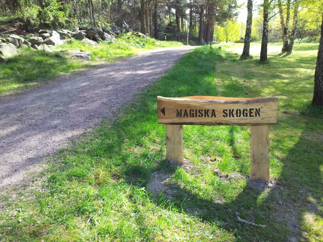 Väg in till magiska skogen.