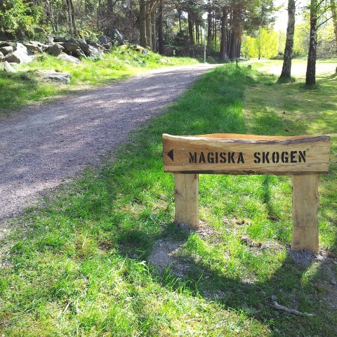Väg in till magiska skogen.