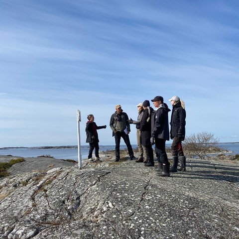 Personer på en utsiktsklippa på Bullerö.