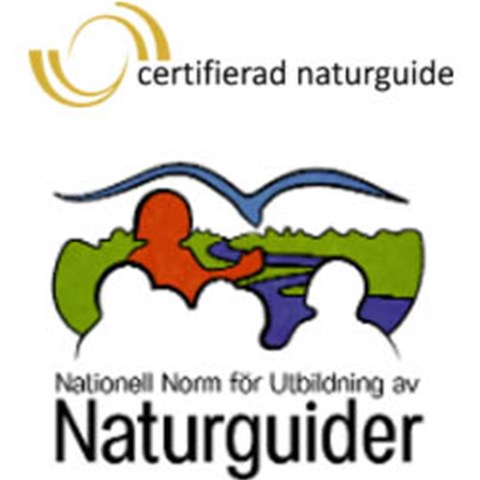 Loggorna för Certifierad naturguide och för Nationell norm för utbildning av naturguider